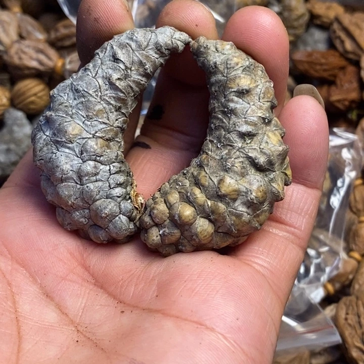 文玩核桃吊坠东北特产130