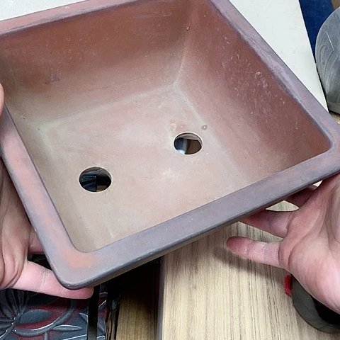 紫砂哈哈哈哈哈哈哈哈哈