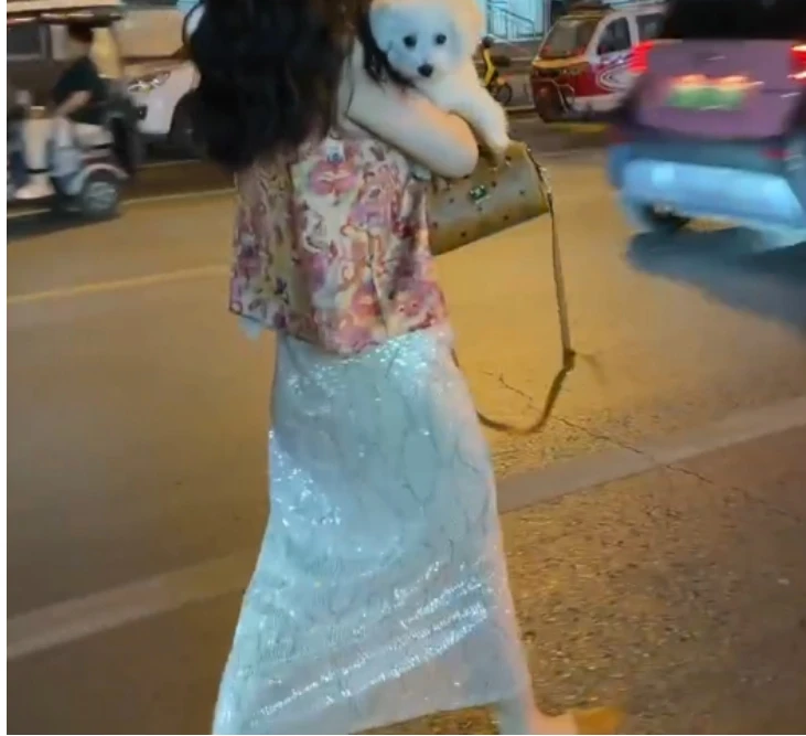 时尚潮流百搭精品女装zsx38268