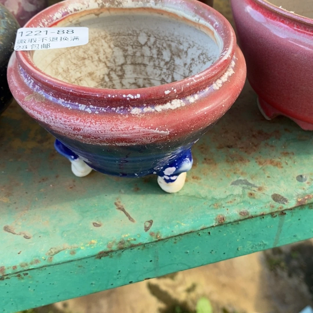 88号多肉盆口径8小可爱