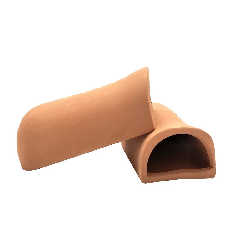 黄金胡子异型鱼繁殖罐