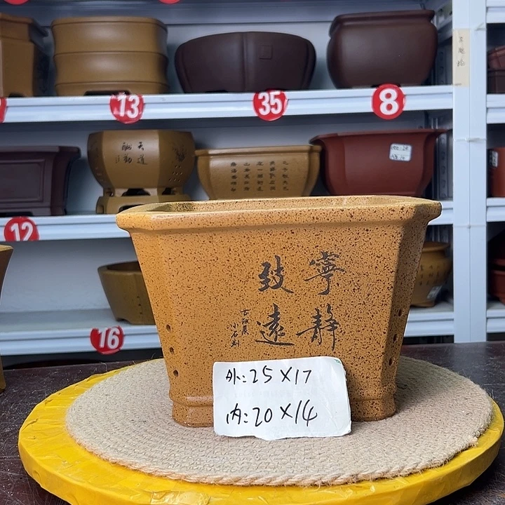 紫砂花盆蛇年大吉