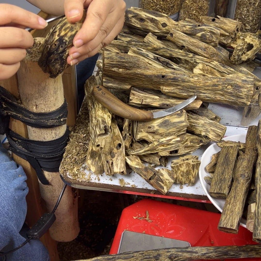 线香奇楠虫漏香52克