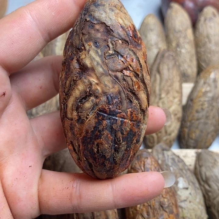湘***麒把件千眼菩提菩提