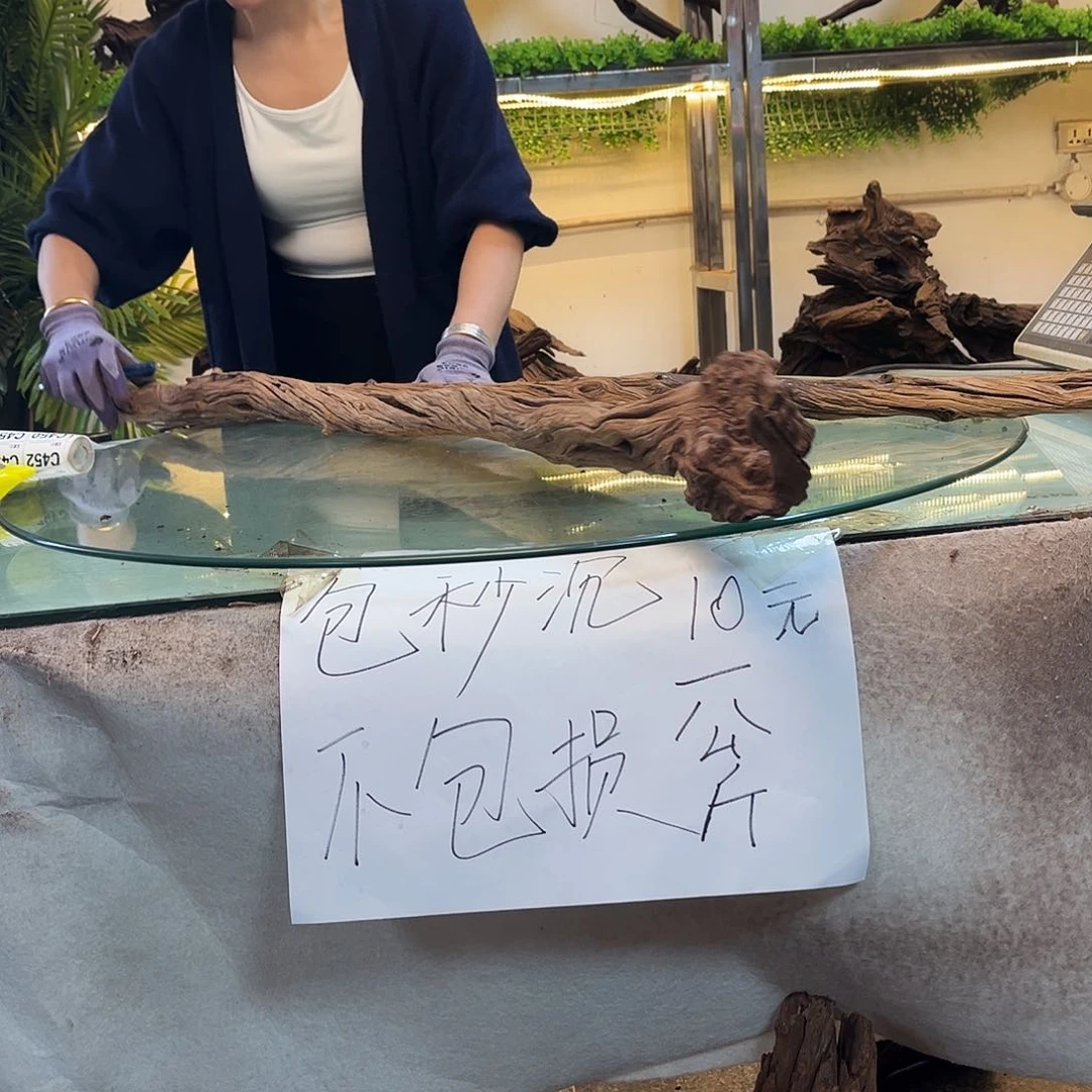 柚木玉***艺沉木鱼缸造景