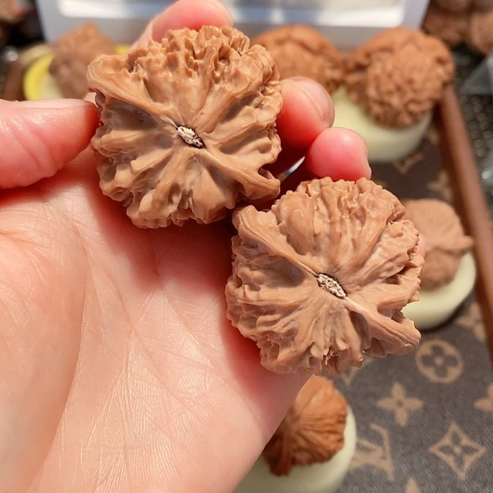 核桃手串/手链45尺寸帝王