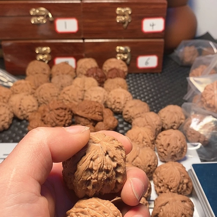 文玩核桃吊坠未**缪白狮子