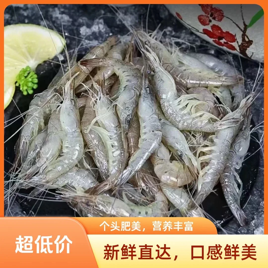 （6斤）产地直发5厘米左右小白虾海白虾顺丰包邮新鲜海捕速冻