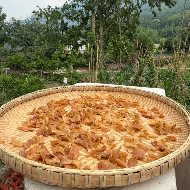 【农家土豆片】四川高山土豆片农家自种 自然晒干