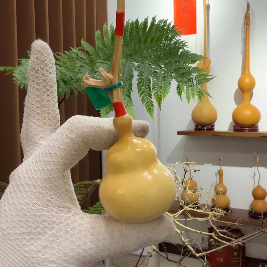 舎得出品精选葫芦SHEDE