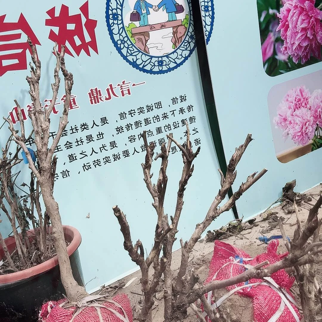 完全开放1111111111111