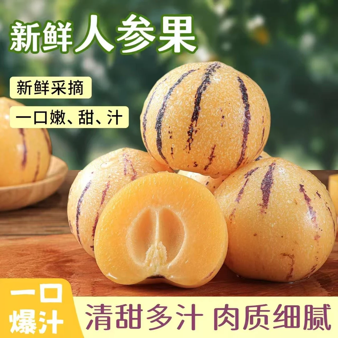 【真•树上熟】云南石林人参果圆果黄肉清甜多汁产地直发应季水果