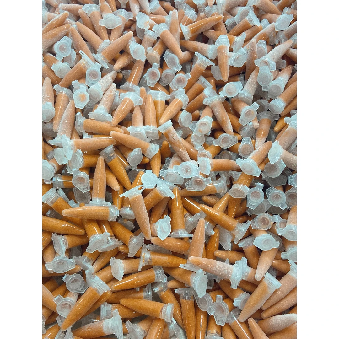 0.5毫升 48支丰年虾