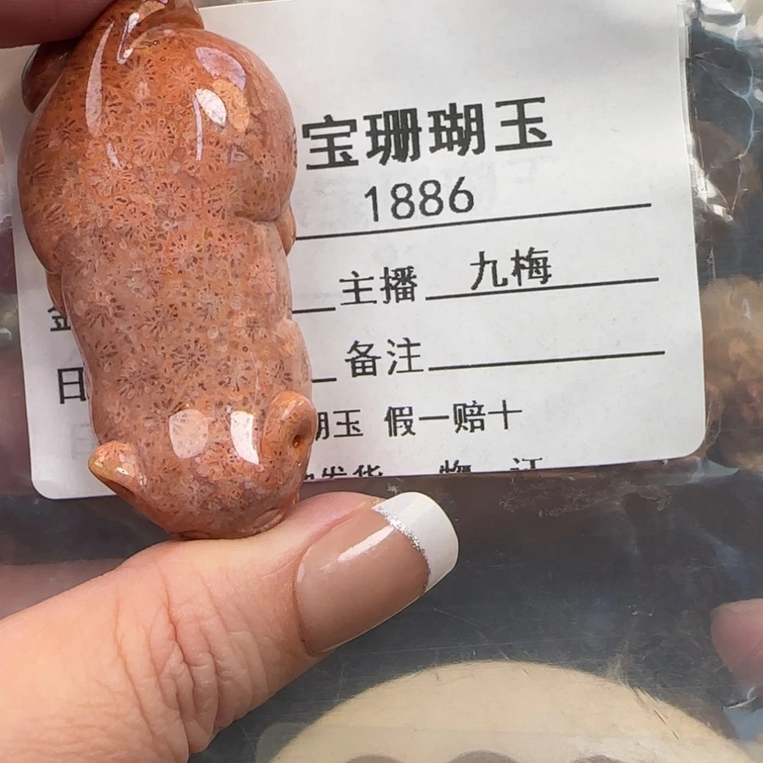 硅化玉未镶嵌颈饰