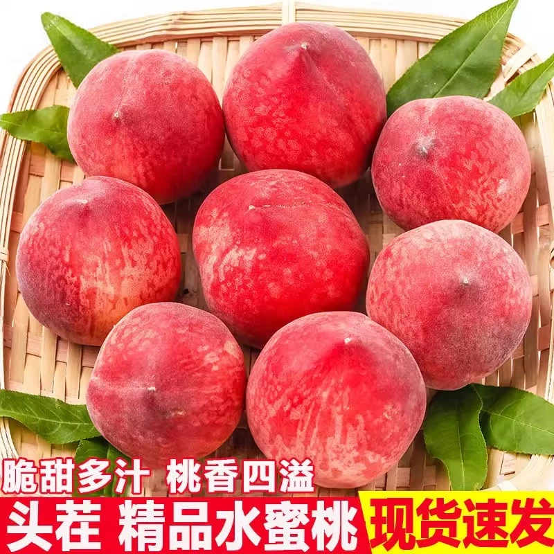 现摘现发正宗山西水蜜桃脆桃应季新鲜水果产地直发坏果包赔