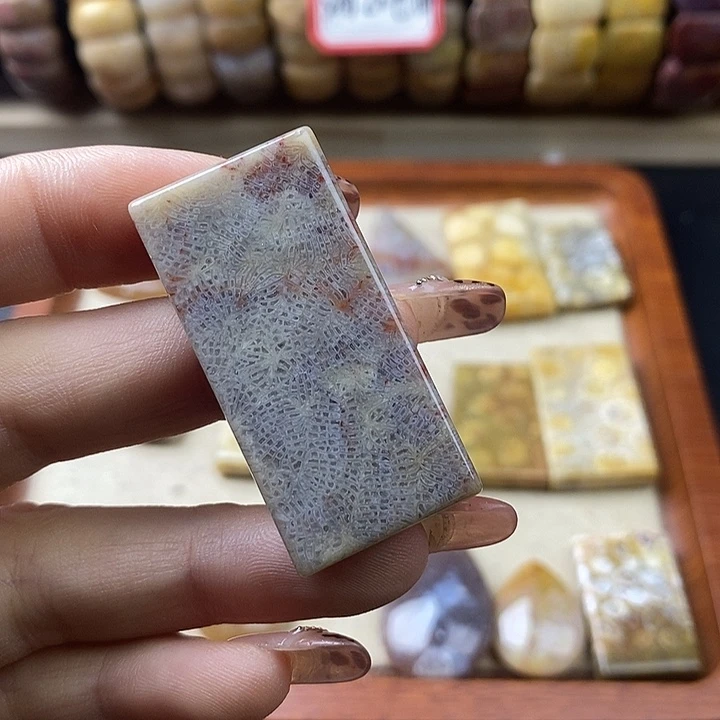 硅化珊瑚（珊瑚玉）未镶嵌颈饰