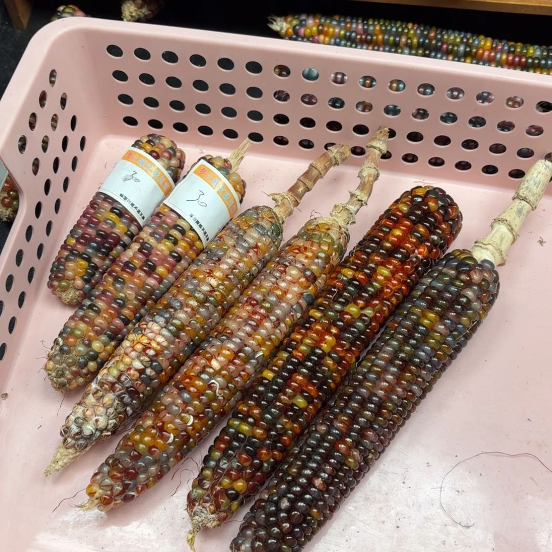 ****岸银S925我我我我我我我额额