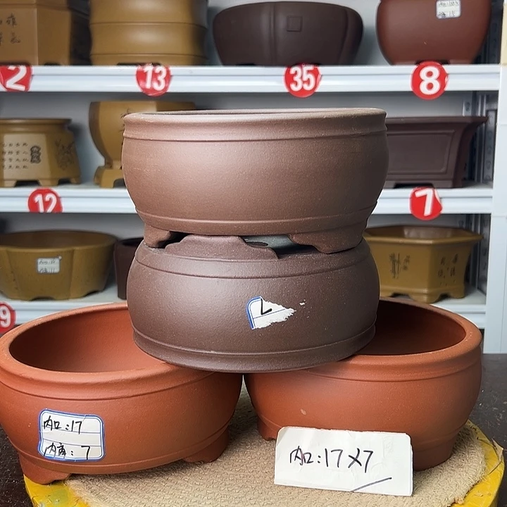 花盆紫砂你在一起