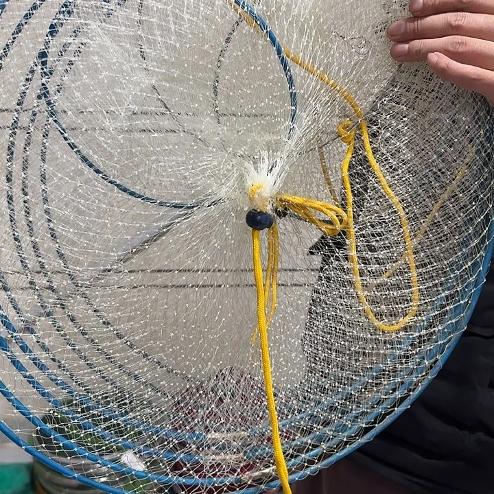 福***体鱼护随机发两个111