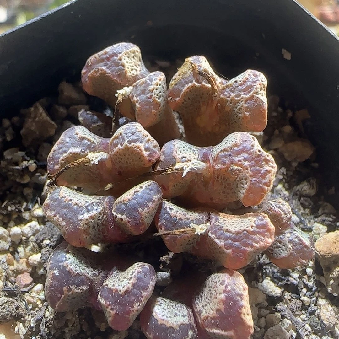 哈哈哈哈哈哈哈57966