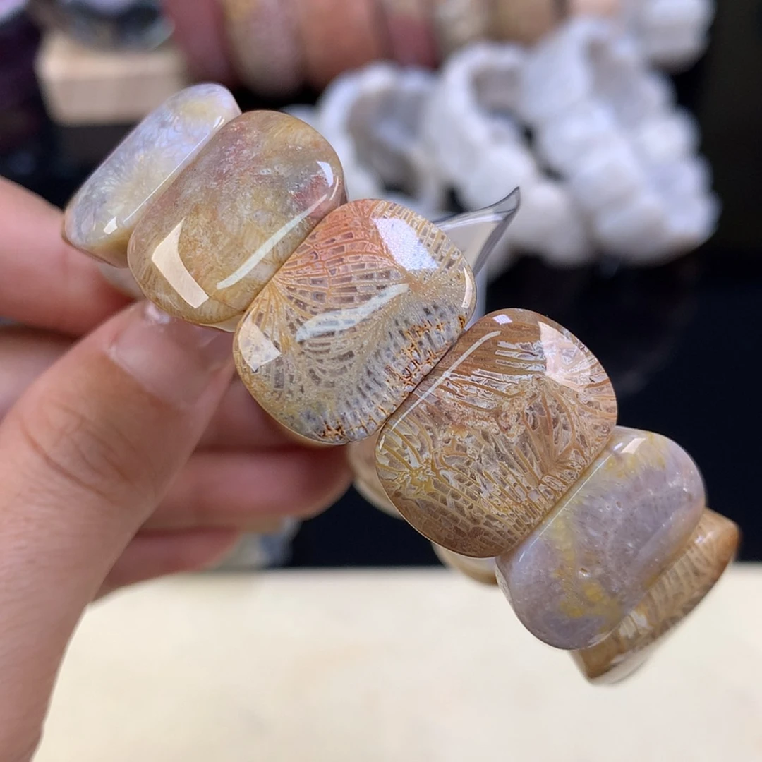 【闪购商品】颈饰未镶嵌硅化珊瑚（珊瑚玉）开播福利35号