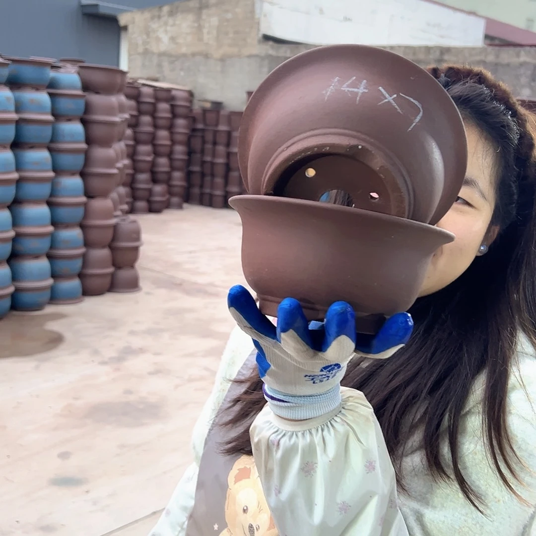 14+14查林小碗花盆花盆