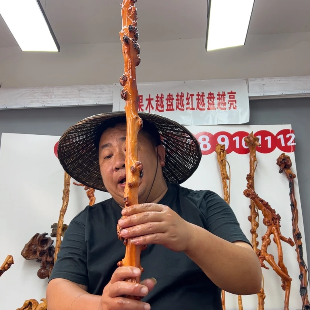 流***沙黑果木其他黑果木624