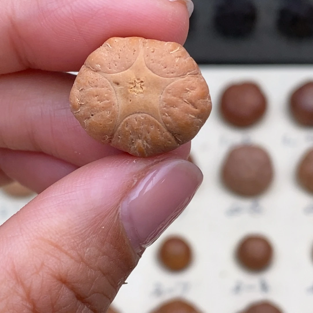 凤眼菩提吊坠五星