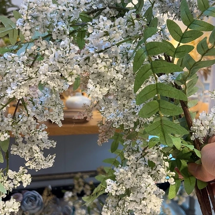 拍品大福利大鹅经济