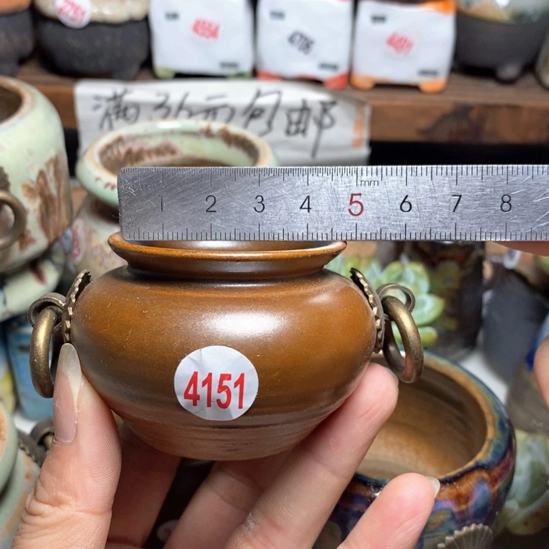 拍5送一个小礼物