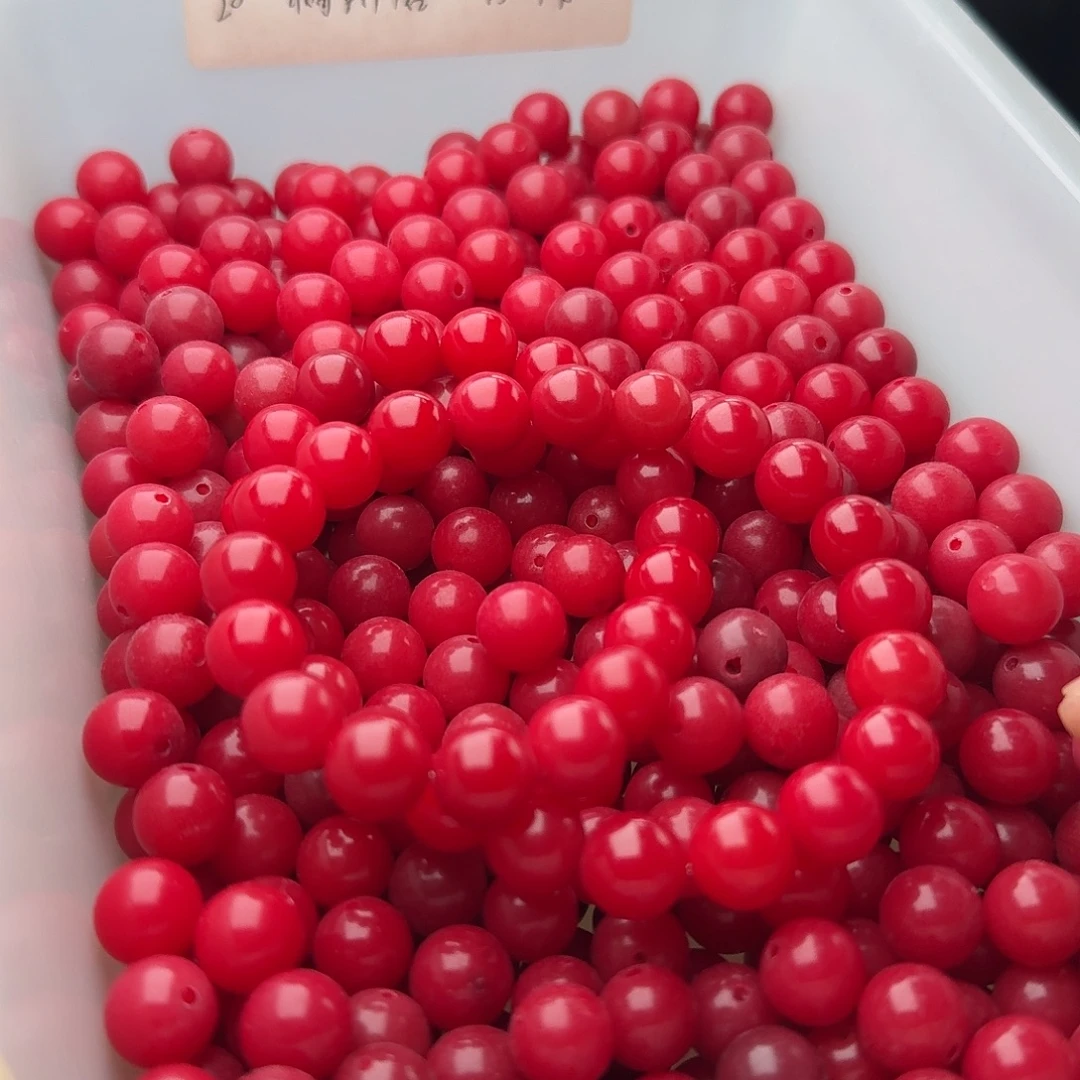 吊坠菩提根/象牙果120 颗中国红 10 圆