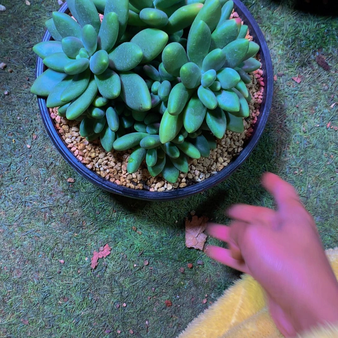 家****哈哈哈哈哈哈哈哈哈哈哈哈