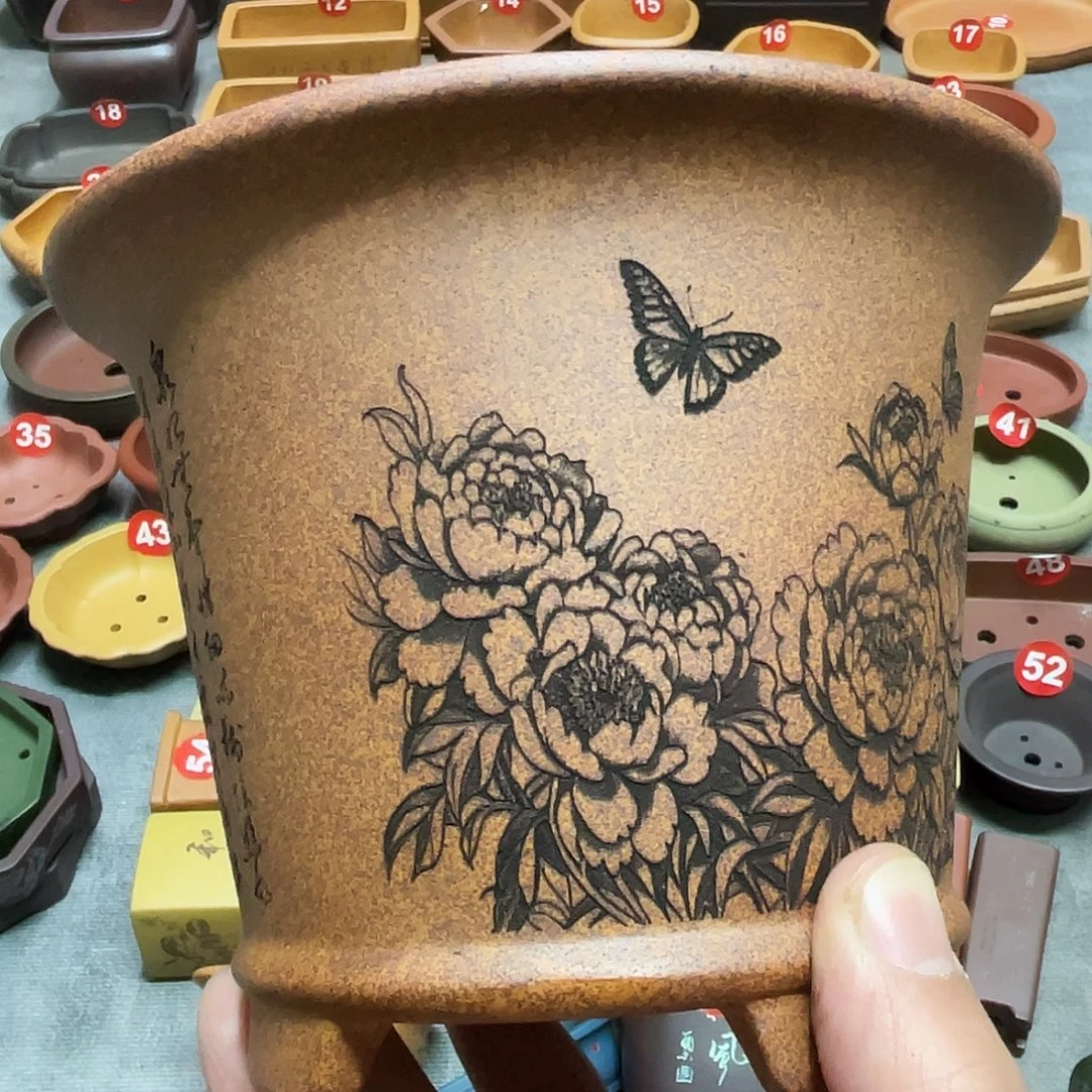 紫砂小盆12*10cmmmm