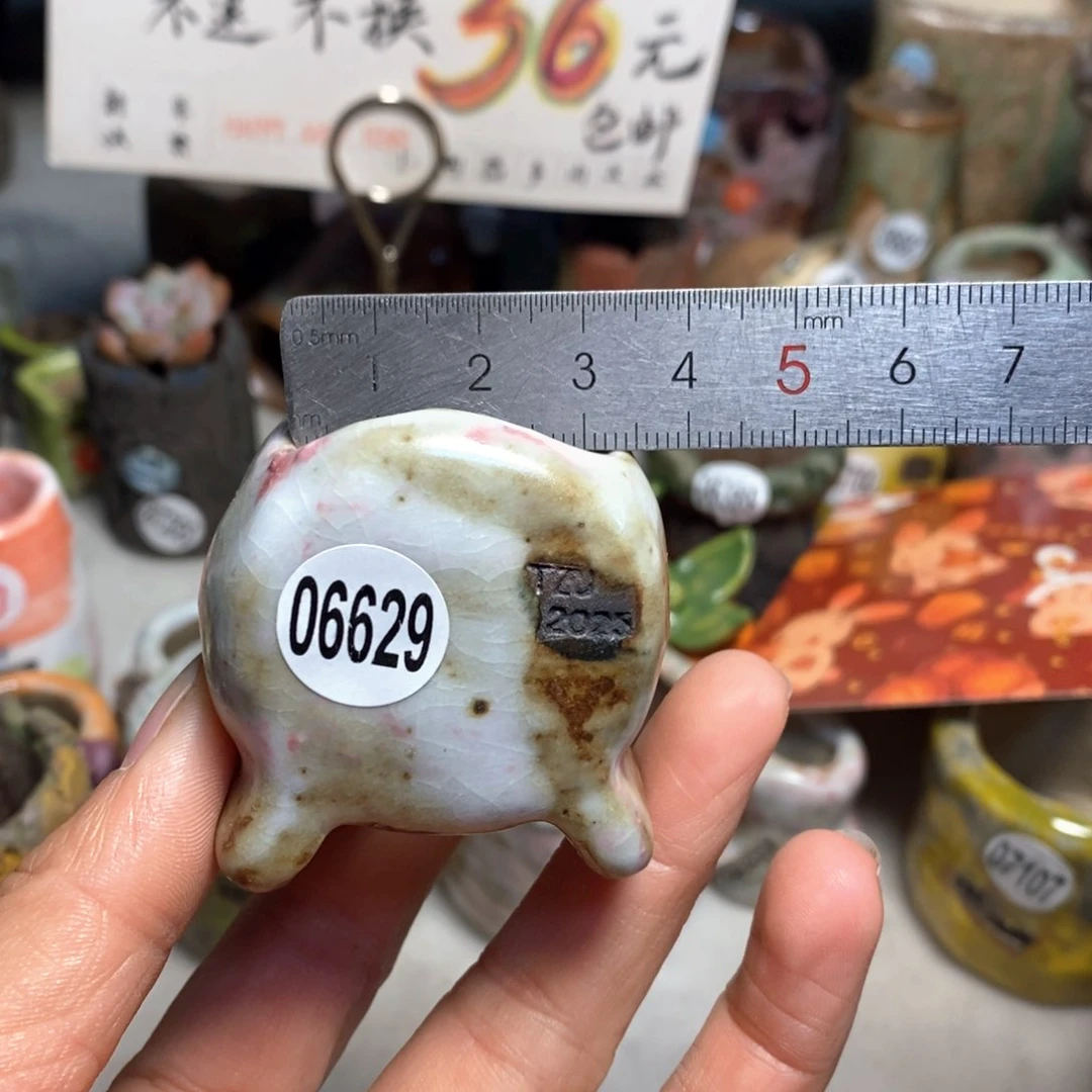 S****?拍3送一个小礼物花盆
