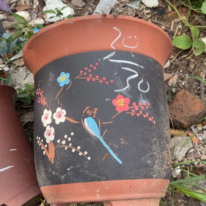 紫砂花盆紫砂的花