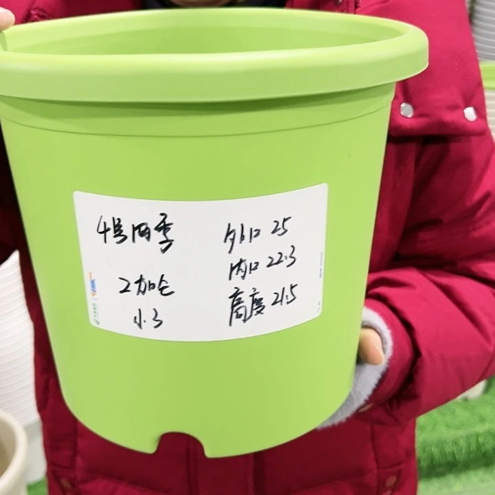 特价4号四季口25高21白色无托5只