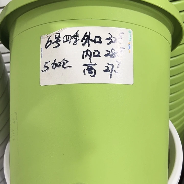 特价6号口32.5高27白色7只无托