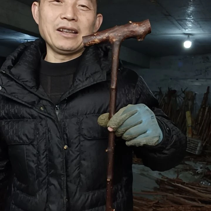 稳定木莲****心贵州檬子木   铁马鞭   根艺  半成品