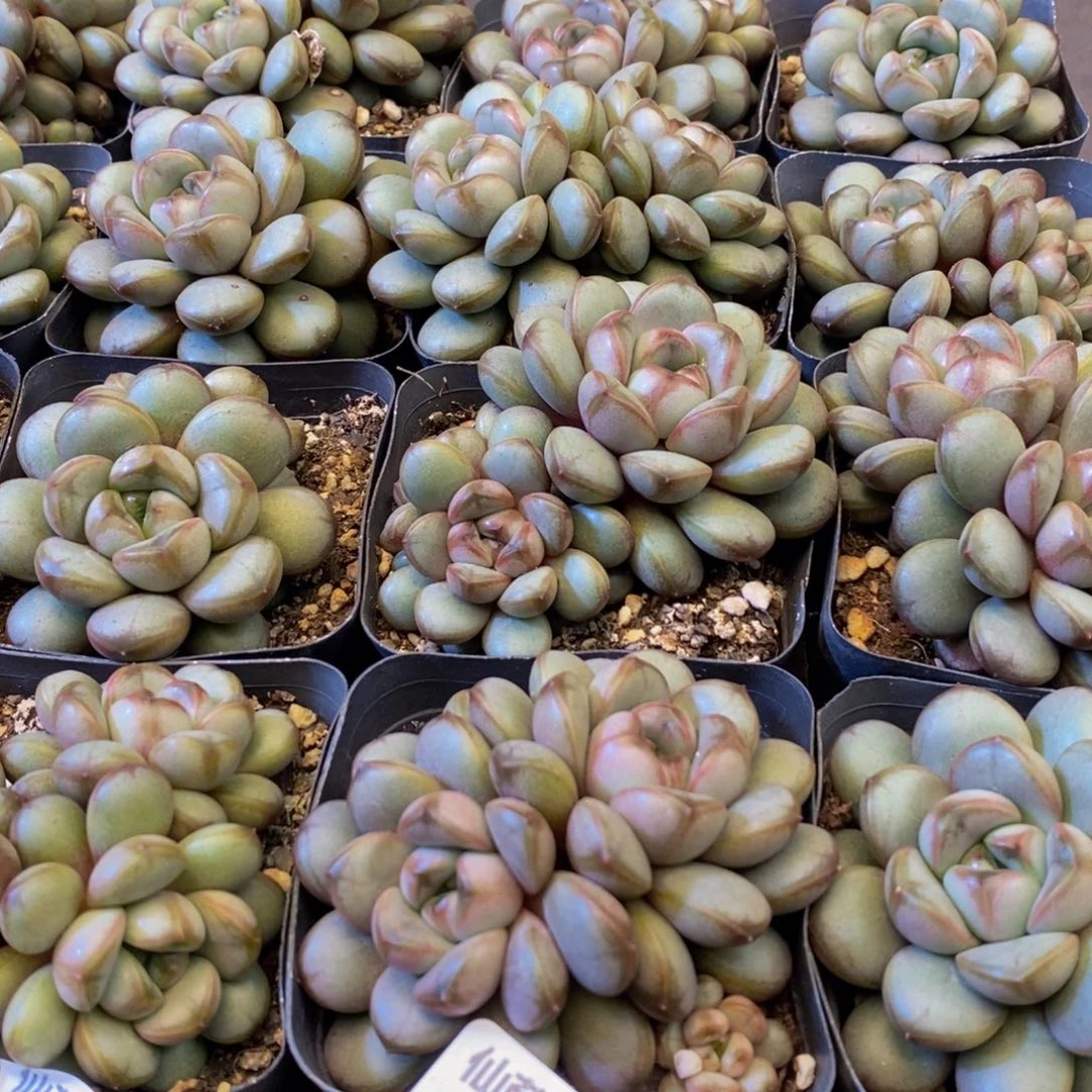 114的人生态度是一种态度