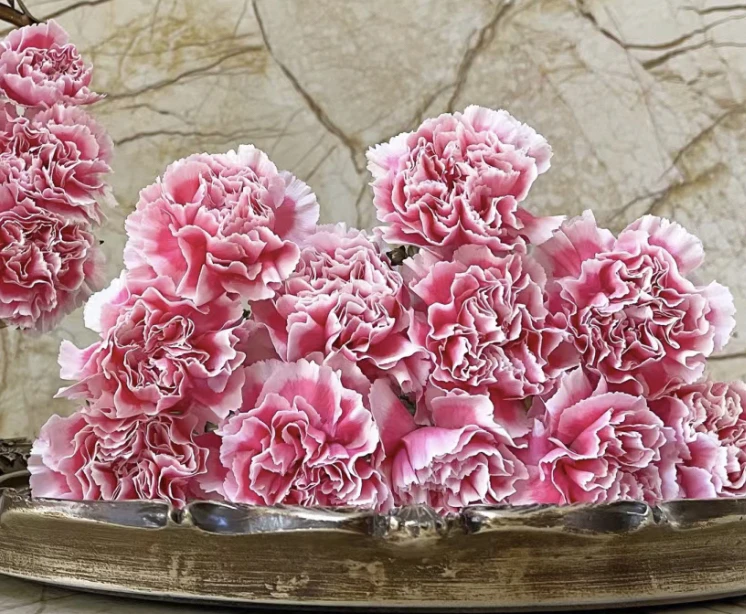 (曼）笑颜康乃馨10支+5支防损鲜花任意满2单包邮