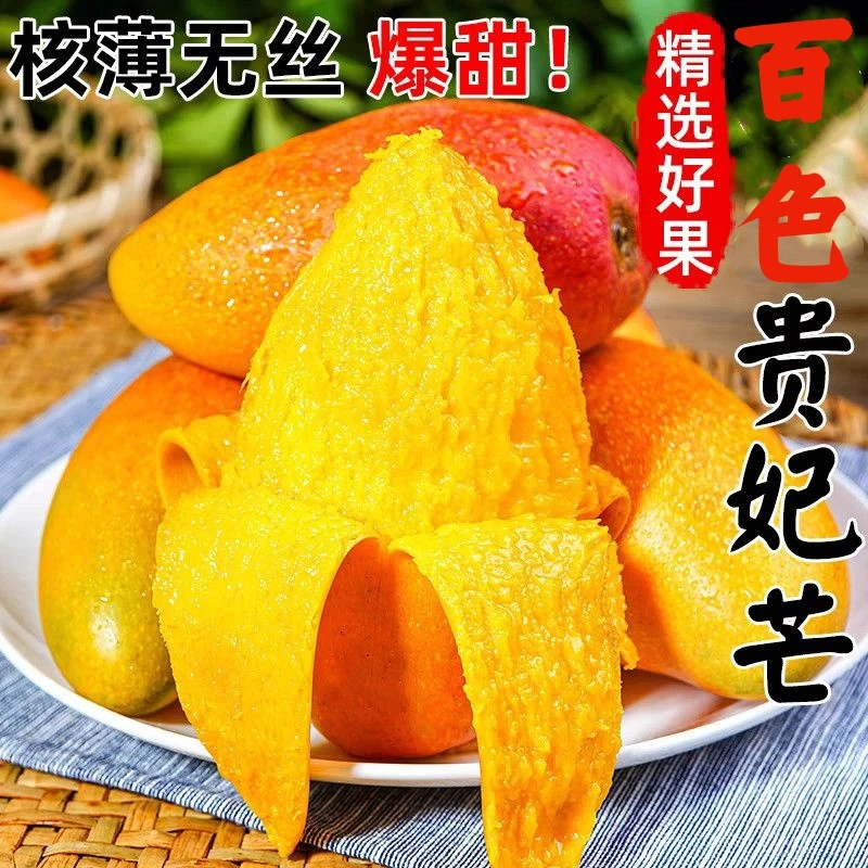【放软食用】百色贵妃芒果新鲜现摘水果农家自种香甜多汁核薄肉厚G