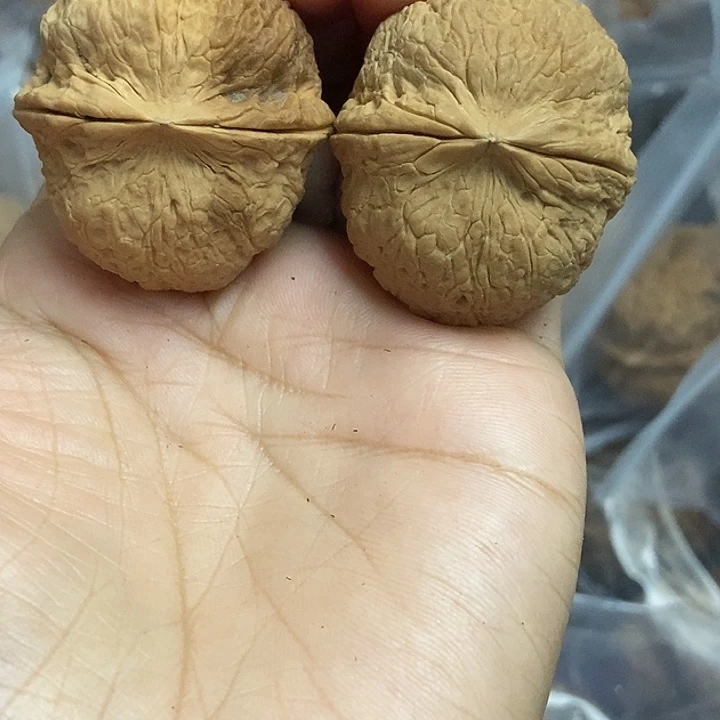 文玩核桃把件云南铁核桃基地43