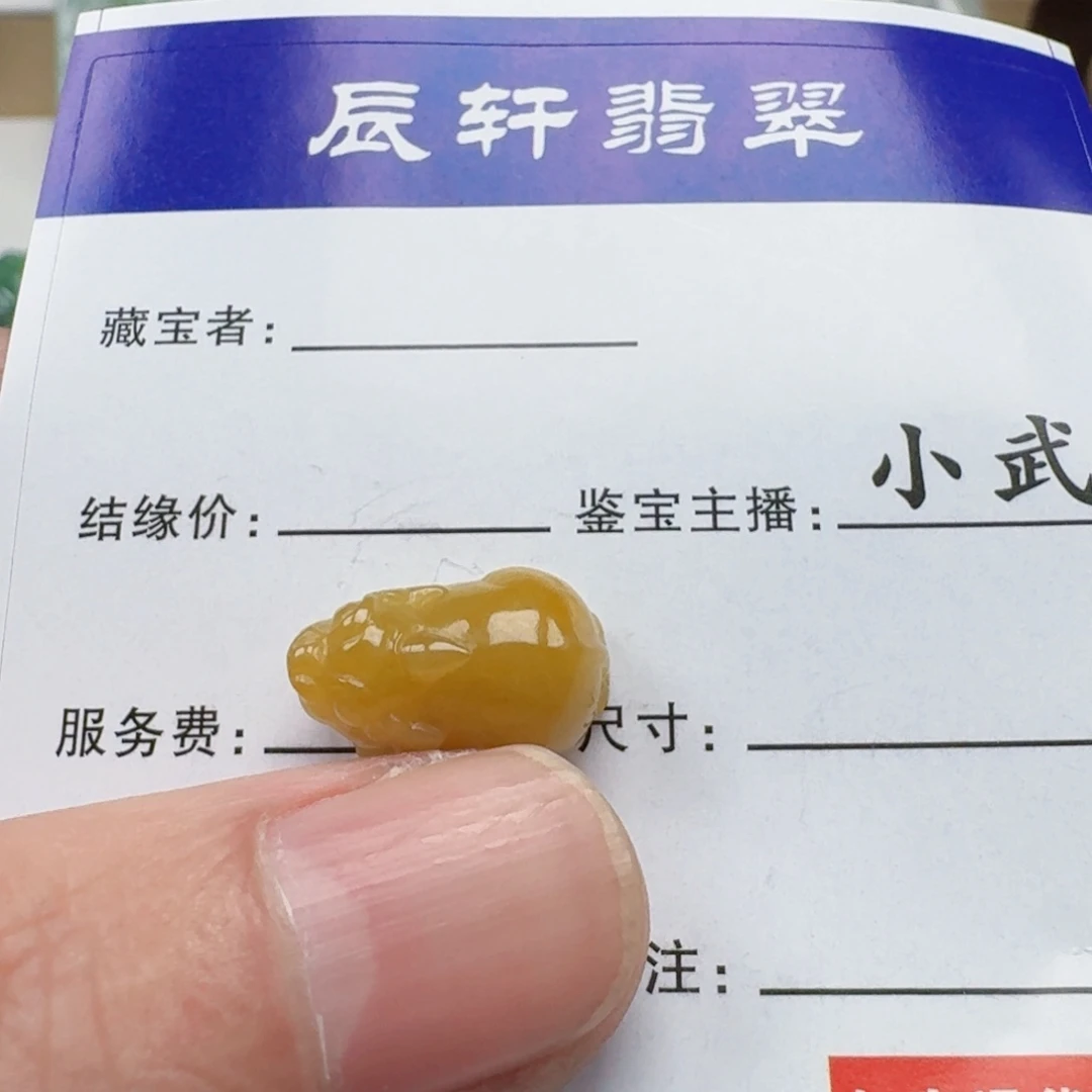 翡翠未镶嵌颈饰    6868