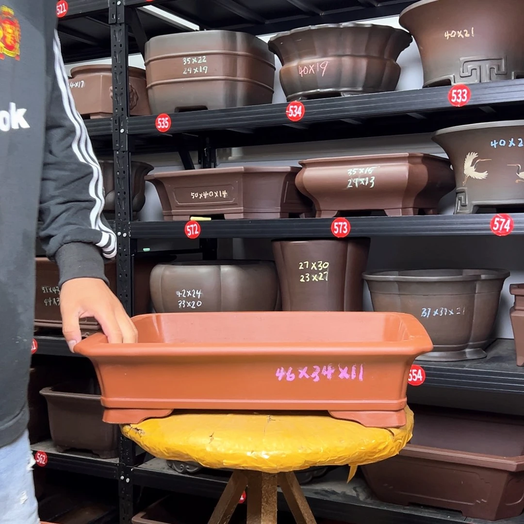 紫砂其他呜呜呜呜