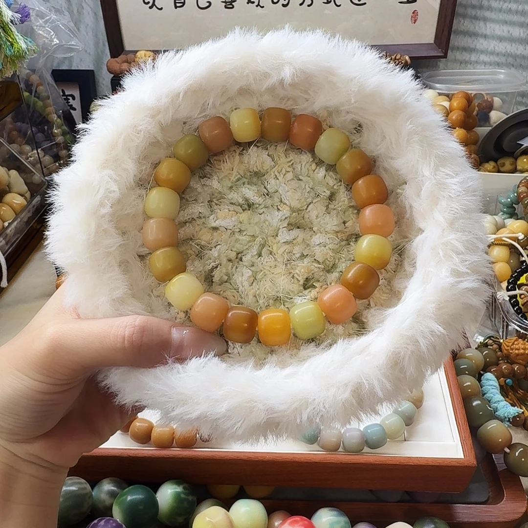 手串菩提根/象牙果