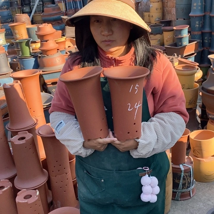 紫砂花盆盆栽花卉苗木种植