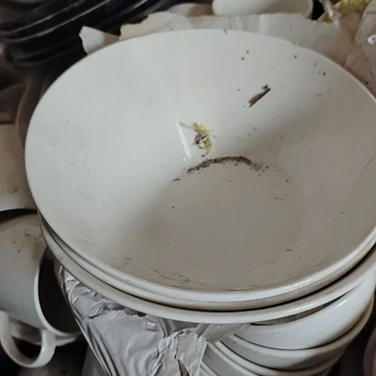 瓷发三个，斜口碗，口径20的