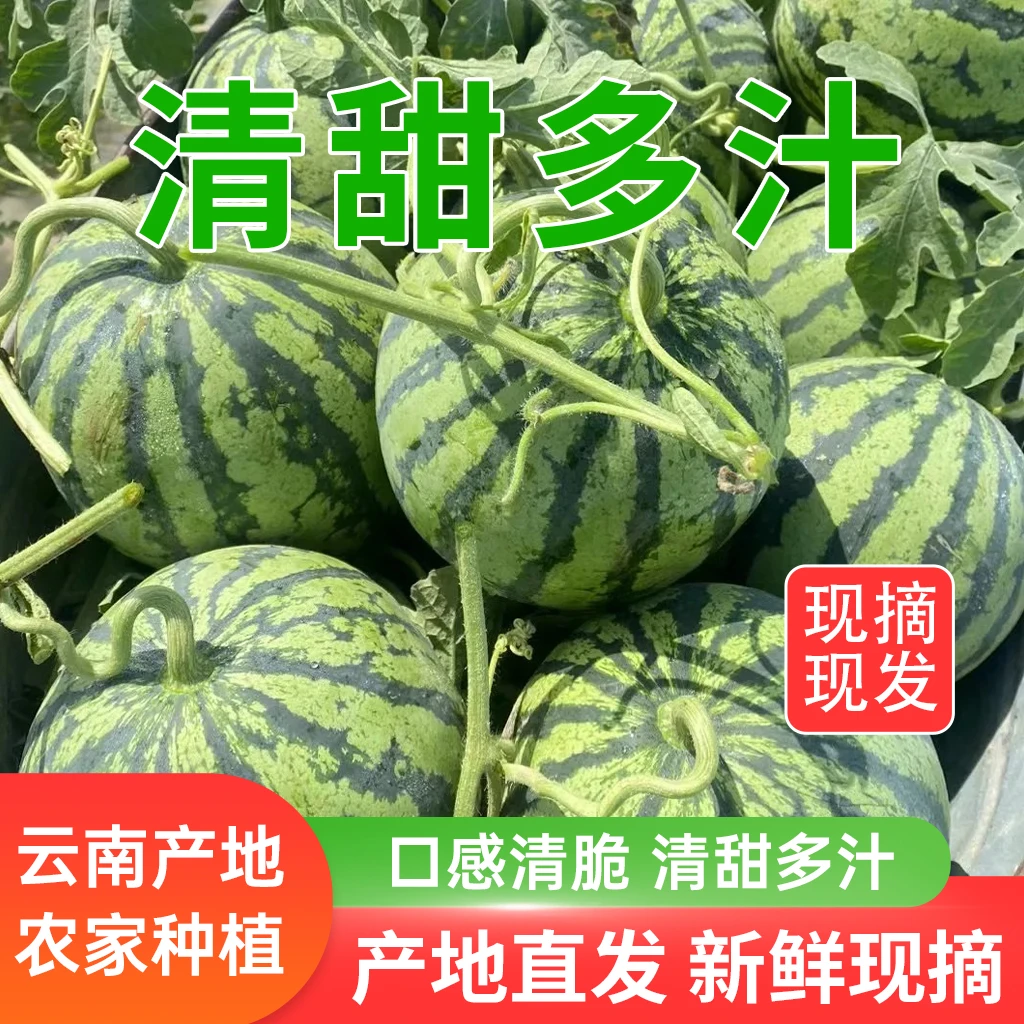 云南麒麟瓜正宗当季美都麒麟瓜现摘薄皮新鲜水果