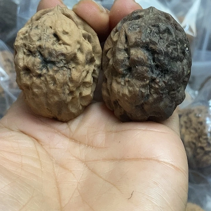 把件文玩核桃云南铁核桃基地22