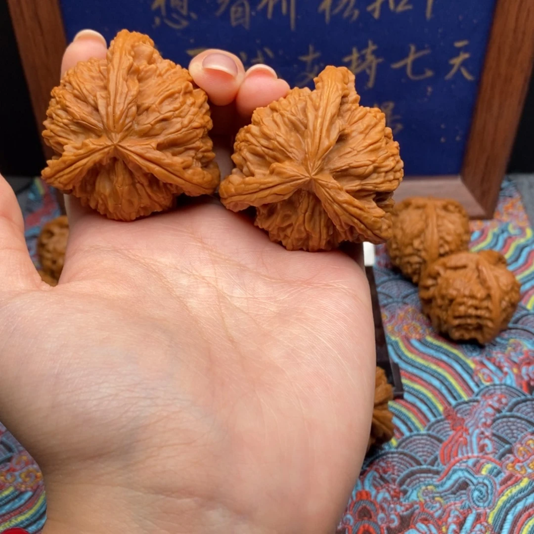 【闪购商品】活**行白狮